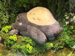 -伊豆泰迪熊博物馆