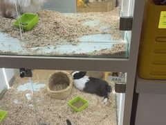 -北京华联购物中心(天通苑店)