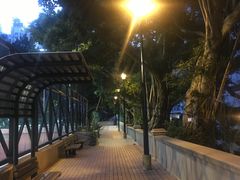 -香港佐治五世纪念公园