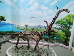 -辽宁古生物博物馆