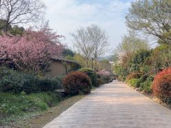 -尚圣月子会所·庄园式月子中心(萧山湘湖店)