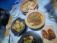 -鸽小宝(深圳首店)