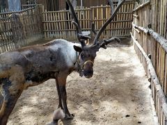 -洛阳白云山景区