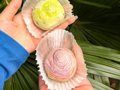 -好一朵茉莉花(老门东店)