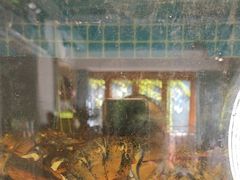 -碗中海·蒸汽海鲜·桑拿鸡(岭南天地店)