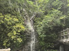 -石台牯牛降景区