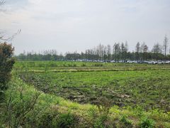 -广富林郊野公园