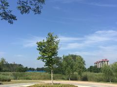 园内广场-鉴湖国家城市湿地公园