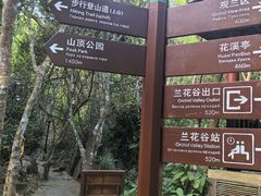 -亚龙湾热带天堂森林公园