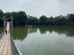 -东湖落雁景区