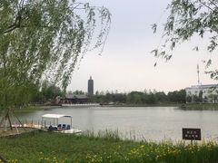 -西海子公园