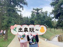 -南京银杏湖乐园