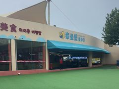 -秦皇岛乐岛海洋王国