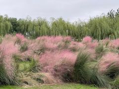 -南京眼步行桥