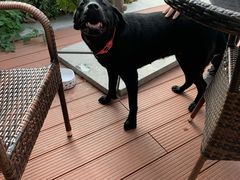 -尽峰攀岩 Acme Climbing