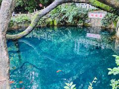 -蝴蝶泉公园