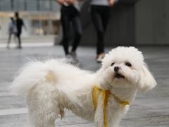 -星巴克臻选(深圳万象天地旗舰店)