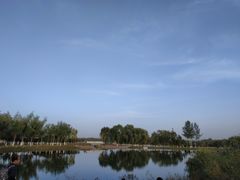 -大兴滨河森林公园