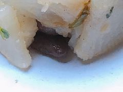 -寂照庵