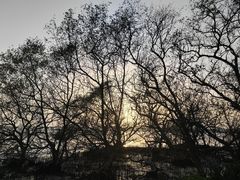 -宝安西湾红树林湿地公园