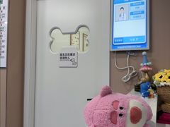 -天使宠物医院·犬猫分诊(彩虹店)