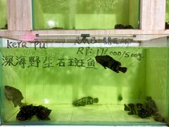 -海盗餐厅