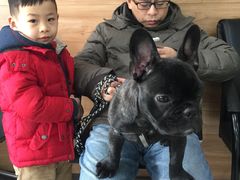 -爱侣宠医·鹦鹉专科·小型哺乳类·异宠专科(灵石路店)