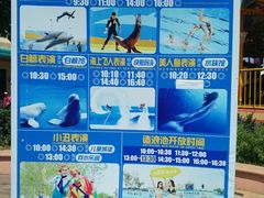 -秦皇岛乐岛海洋王国