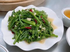 -抚仙湖禄充风景区