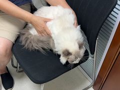 -全心全意连锁动物医院(加州店)