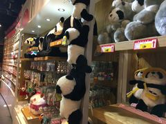 -熊猫邮局(少城店)