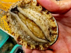 -四季海鲜酒楼·粤菜·早茶·宴会(南山中心区店)