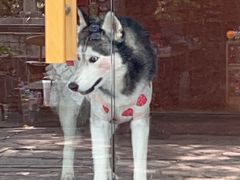 -长沙文和友(海信广场店)