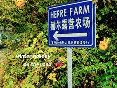 -HERRE·FARM 赫尔露营农场·团建聚会包场