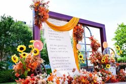 点击看大图 -曼格纳婚礼艺术中心(张江店)