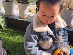 -贝迪堡托育亲子早教中心(厦门中心)