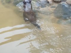 -昆明动物园