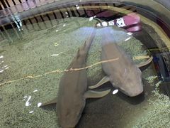 -鸿通城购物中心