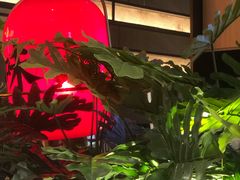 -辛香汇·现炒川菜(城北万象城店)