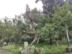 -南山植物园