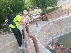 -青岛森林野生动物世界
