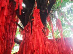 -曼听御花园