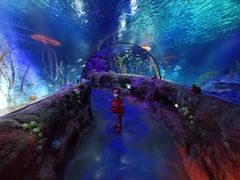 -沈阳海洋探索中心