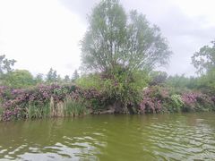 -云龙湖旅游景区