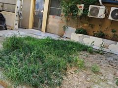 -杨氏青龙虾·羊蝎子(珠江路店)