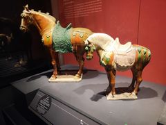 -陕西历史博物馆