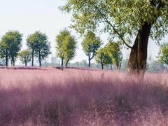 -汉长安城未央宫国家考古遗址公园