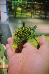 -酷嗒动物文化乐园(cutezoo西溪乐天城店)