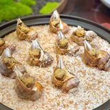 没想到科技园里藏了一家这么好吃的私房菜