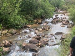 -广州白江湖森林公园